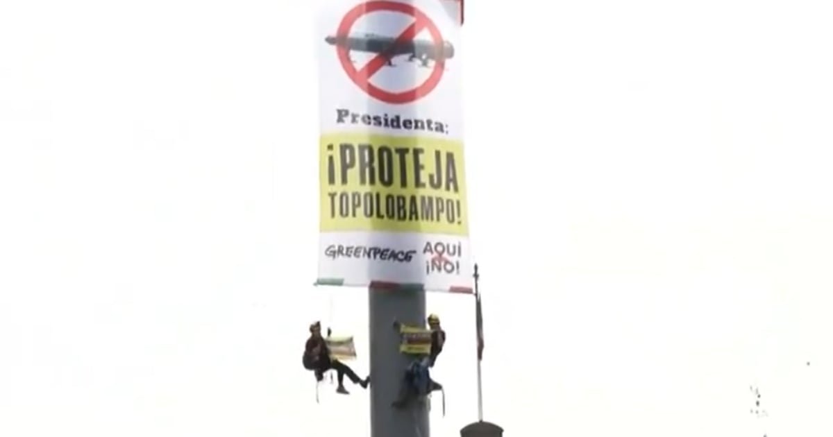Greenpeace escala el asta del zócalo y lanza urgente llamado a la Presidenta: ‘Proteja Topolobampo’